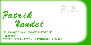 patrik mandel business card